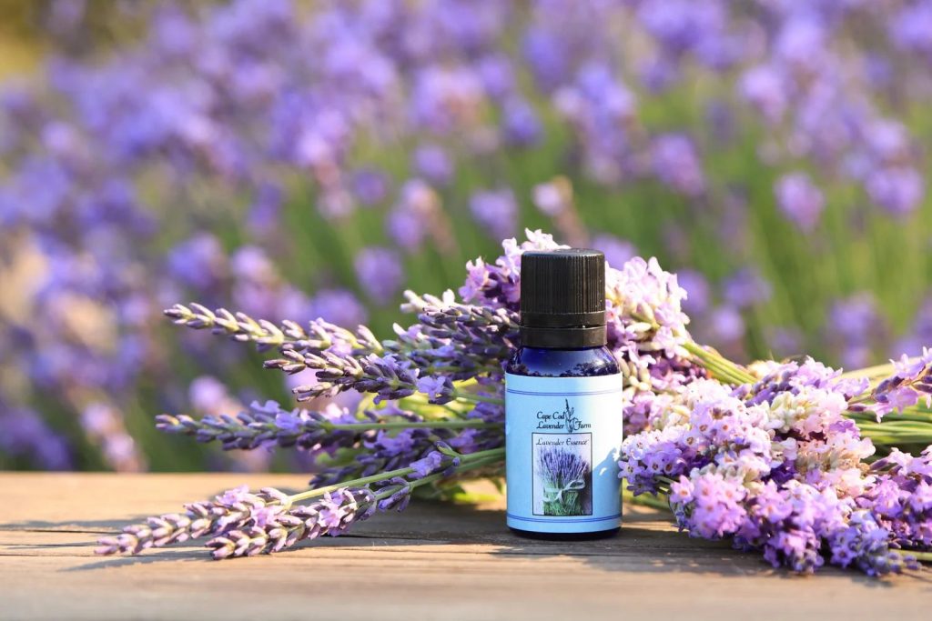 Aura Lavender Essential Oil